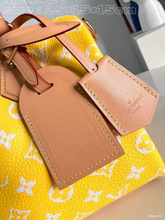 Louis Vuitton SPEEDY 25 0613